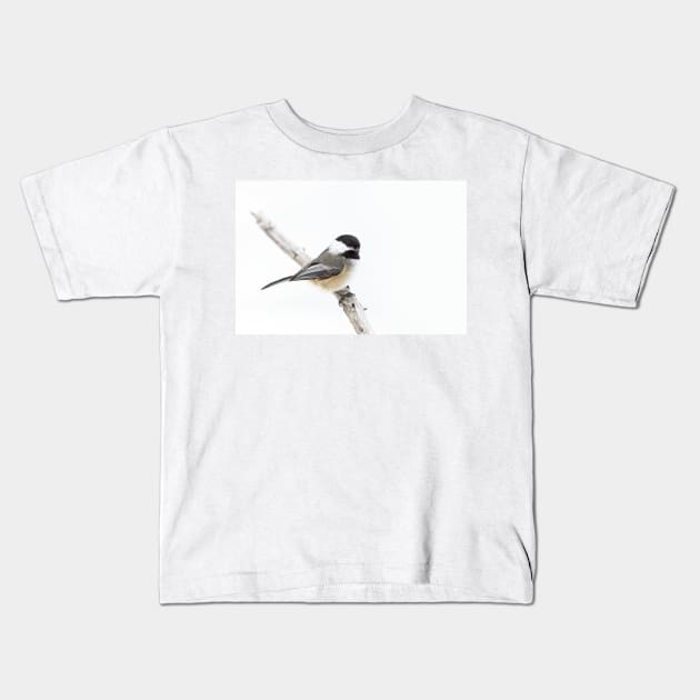 Algonquin Chickadee Kids T-Shirt by Jim Cumming